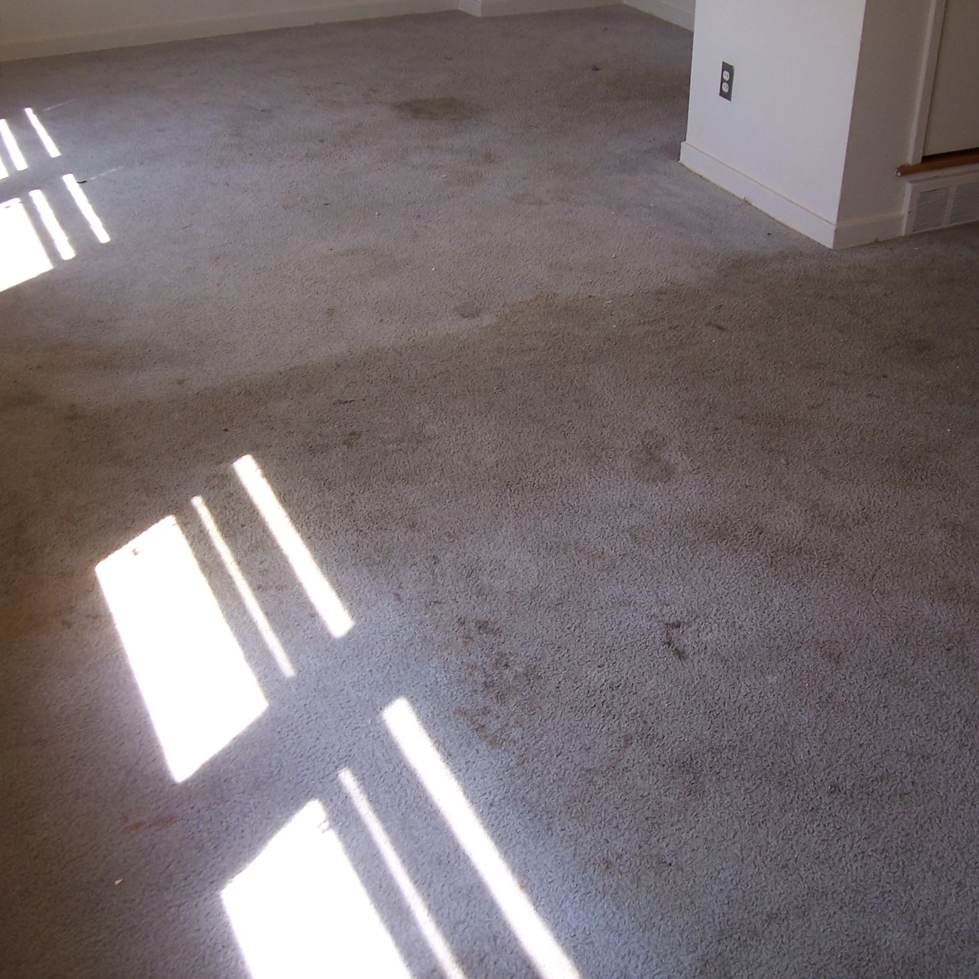 Carpet Cleaning Business Package - Image 10