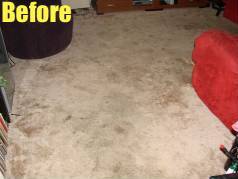 Carpet Cleaning Business Package - Image 6
