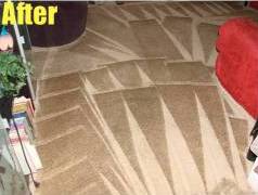 Carpet Cleaning Business Package - Image 7