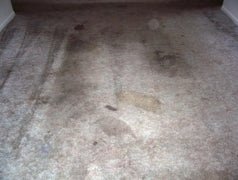 Carpet Cleaning Business Package - Image 8