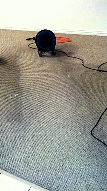 Challenger Pad Machine - Image 6